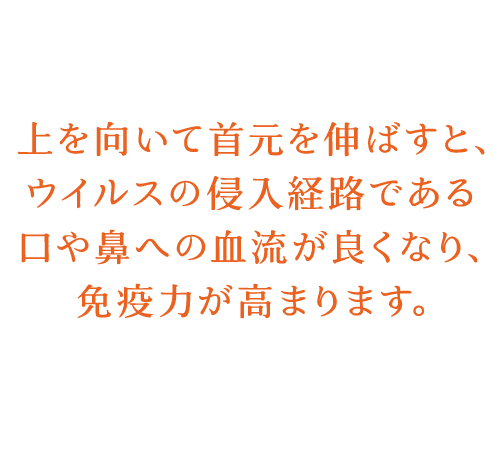上を向いて首元を伸ばすと、ウイルスの侵入経路である口や鼻への血流が良くなり、免疫力が高まります。