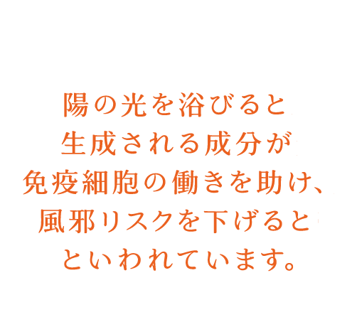 陽の光を浴びると生成される成分が免疫細胞の働きを助け、風邪リスクを下げると言われています。