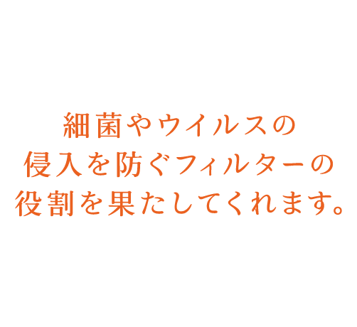細菌やウイルスの侵入を防ぐフィルターの役割を果たしてくれます。