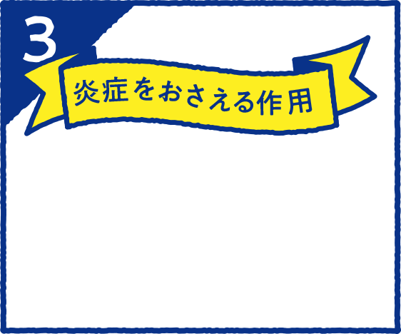 3 炎症をおさえる作用