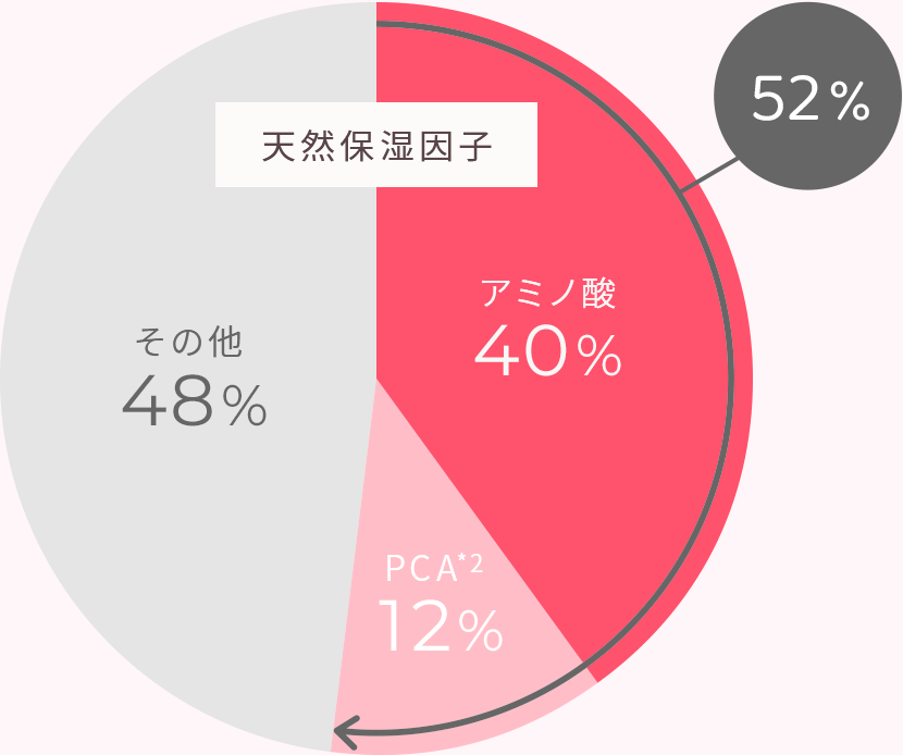 天然保湿因子 アミノ酸40% PCA12% その他48%