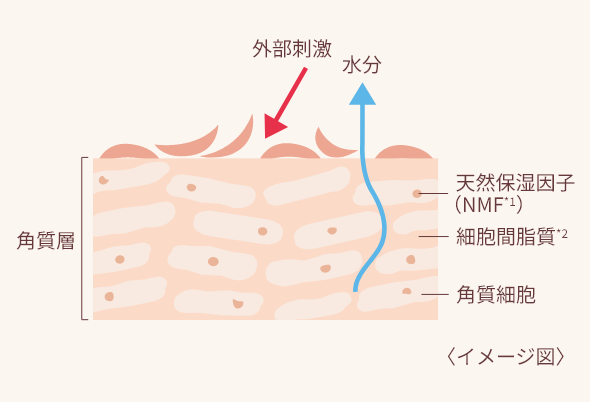 敏感肌の肌状態 イメージ図
