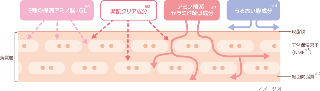 9種の保潤アミノ酸・GL 柔肌クリア成分 アミノ酸系セラミド類似成分 うるおい膜成分