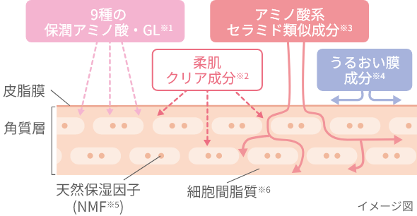 9種の保潤アミノ酸・GL 柔肌クリア成分 アミノ酸系セラミド類似成分 うるおい膜成分