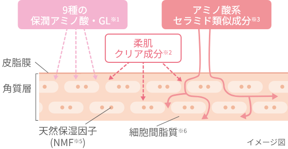9種の保潤アミノ酸・GL 柔肌クリア成分 アミノ酸系セラミド類似成分