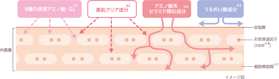 9種の保潤アミノ酸・GL 柔肌クリア成分 アミノ酸系セラミド類似成分 うるおい膜成分