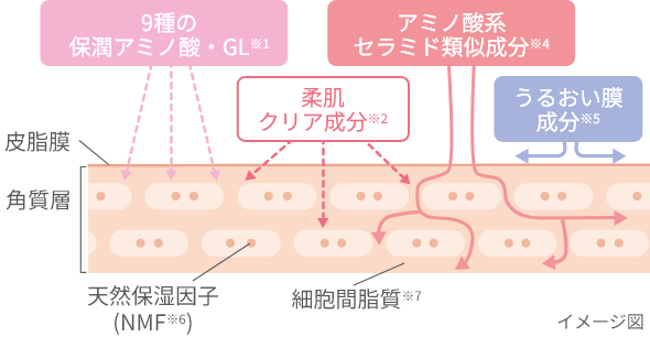 9種の保潤アミノ酸・GL 柔肌クリア成分 アミノ酸系セラミド類似成分 うるおい膜成分