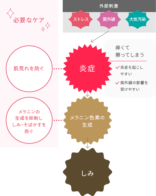 メラニン色素が生成されるとターンオーバーが滞りがちになります。（肌の新陳代謝が遅くなり、しみが居残っている状態）