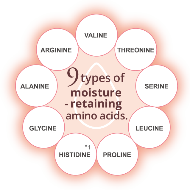 Original formula focused on amino acids｜MINON AminoMoist｜DAIICHISANKYO