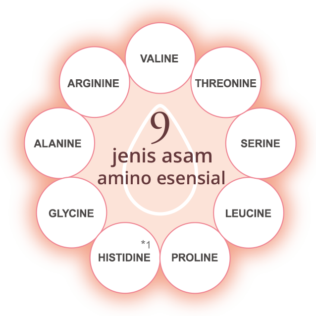 Kombinasi 9 jenis Asam Amino esensial