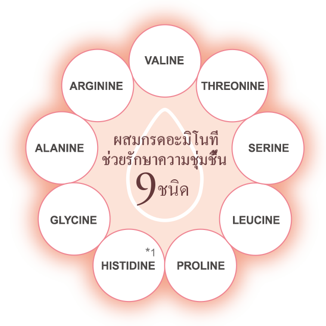 สูตรไม่เหมือนใครซึ่งเน้นไปที่กรดอะมิโน