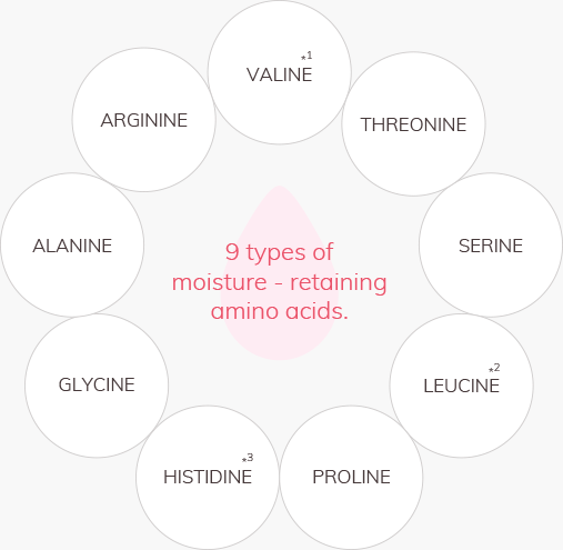 9 types of moisture - retaining amino acids. VALINE ARGININE THREONINE ALANINE SERINE GLYCINE LEUCINE HISTIDINE PROLINE