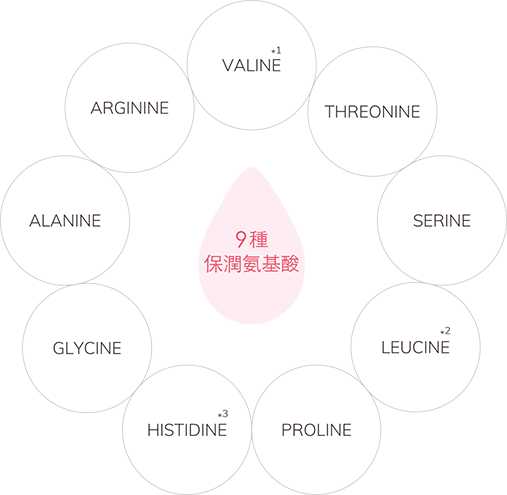 9種 保潤氨基酸 VALINE ARGININE THREONINE ALANINE SERINE GLYCINE LEUCINE HISTIDINE PROLINE