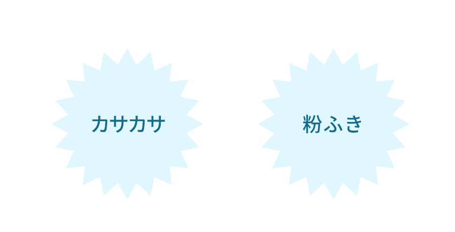 カサカサ/粉ふき