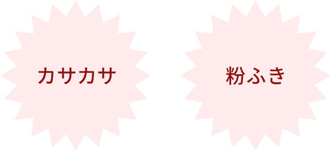 カサカサ/粉ふき