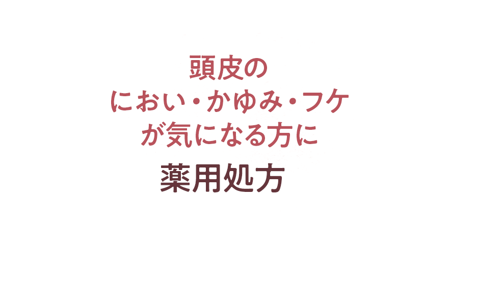 頭皮のにおい・かゆみ・フケが気になる方に薬用処方