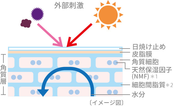 防ぐ保湿ケア イメージ図