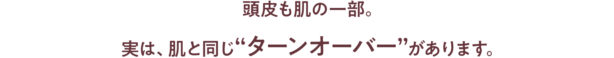 頭皮も肌の一部。実は、肌と同じ“ターンオーバー”があります。
