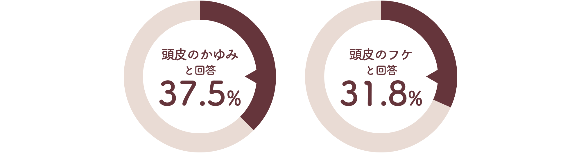 頭皮のかゆみ と回答 37.5% 頭皮のフケ と回答 31.8%
