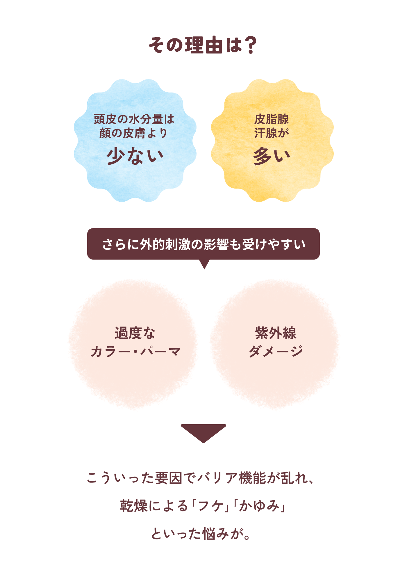 その理由は？頭皮の水分量は顔の皮膚より少ない。皮脂腺汗腺が多い。さらに外的刺激の影響も受けやすい。過度なカラー・パーマ、紫外線ダメージ。こういった要因でバリア機能が乱れ、乾燥によるフケ・かゆみといった悩みが。
