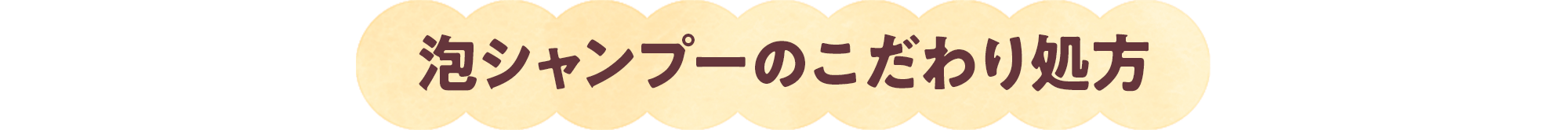 泡シャンプーのこだわり処分