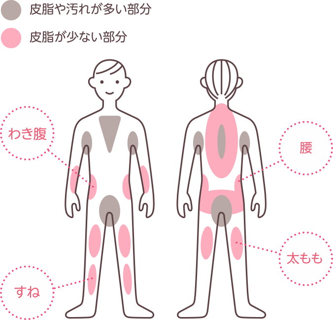 Sebum や dirt れ が many い parts. Sebum が less ない part (flank, すね, waist, too もも)