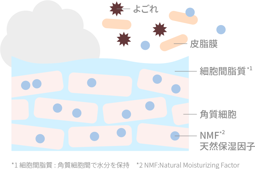 バリア機能を低下させる洗浄(イメージ図)の図に「バリア機能を低下させる洗浄(イメージ図)」