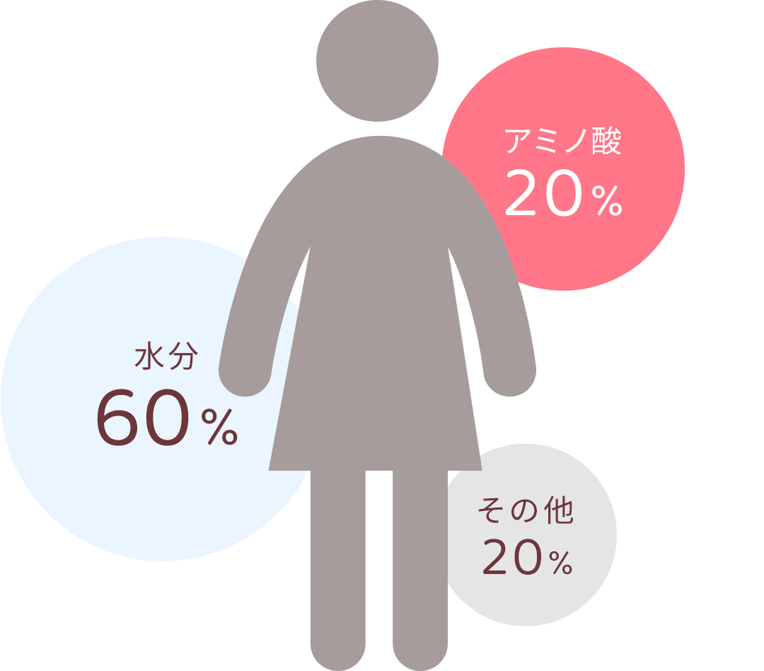 水分60% アミノ酸20% その他20%