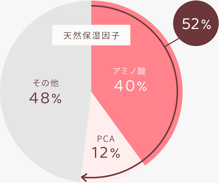 天然保湿因子 アミノ酸40% PCA12% その他48%