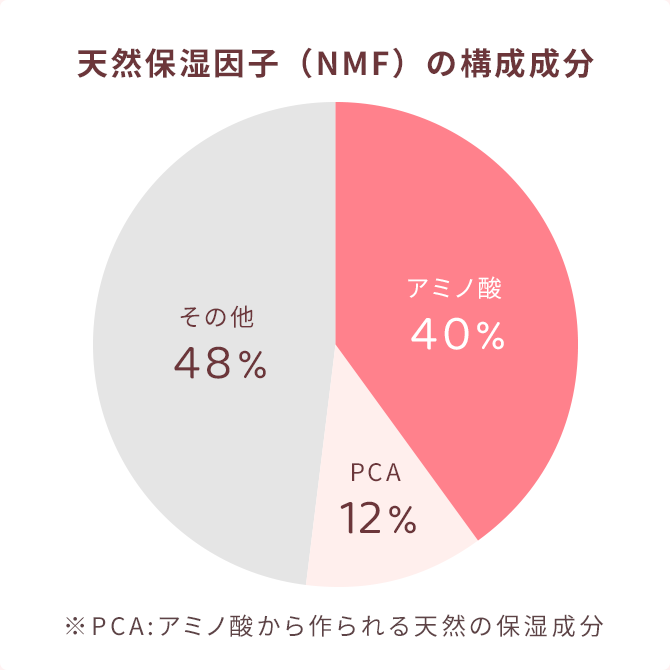 NMFの構成成分 アミノ酸40% PCA12% その他48% ※PCA:アミノ酸から作られる天然の保湿成分