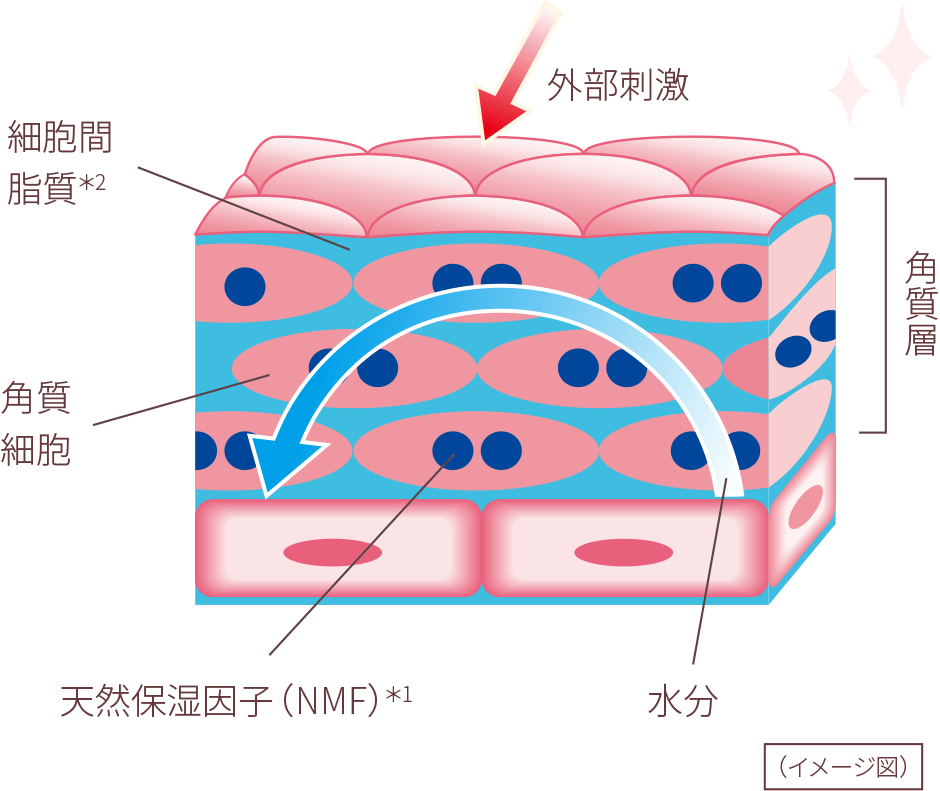 3分でわかる敏感肌 敏感肌のギモン ミノン 第一三共ヘルスケア