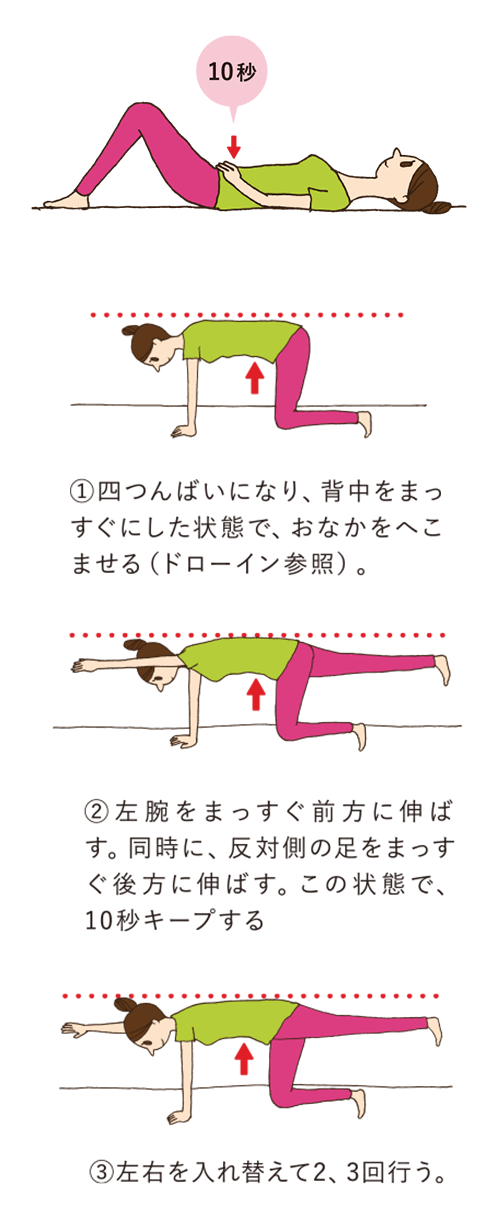産後ママの筋肉リメイク 腰用サポーター パテサポ 第一三共ヘルスケア 産後ママの筋肉リメイク 腰用サポーター パテサポ 第一三共ヘルスケア
