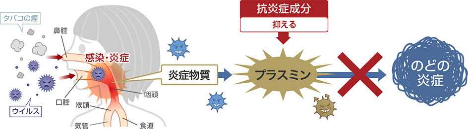 風邪 乾燥 のど 喉 の痛みや腫れの原因は のど 喉 の痛み 腫れを飲んで治す治療薬 ペラックt錠 第一三共ヘルスケア