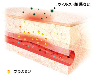 のど に 口内炎