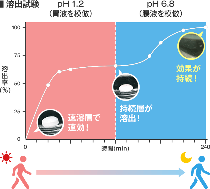 グラフ：溶出試験