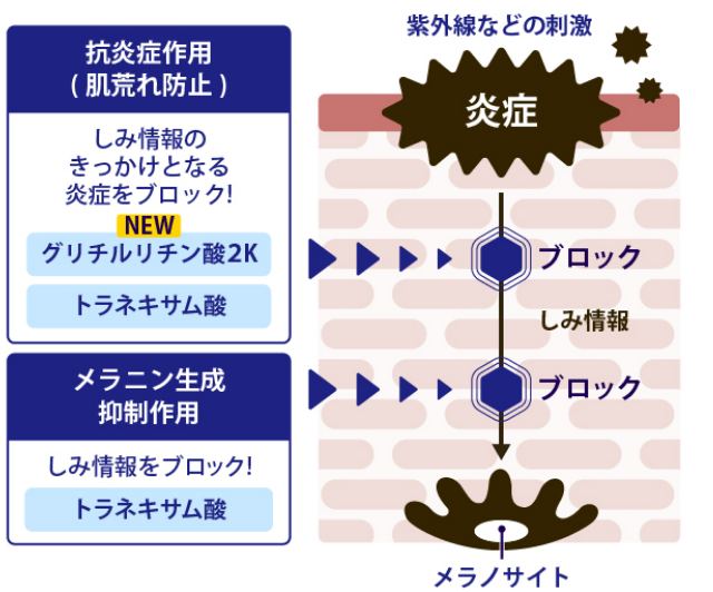 詳細図