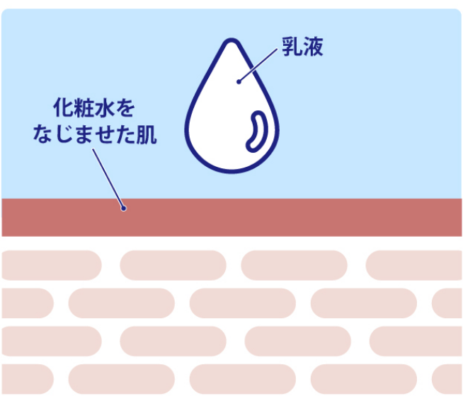 化粧水でうるおいを満たし、乳液でしっかり閉じ込める