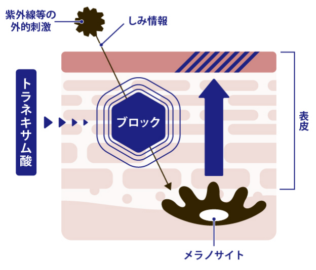 トラネキサム酸 図
