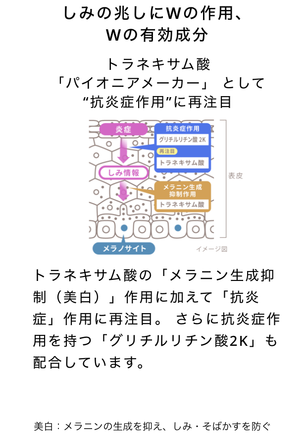 シミの兆しにWの作用、Wの有効成分