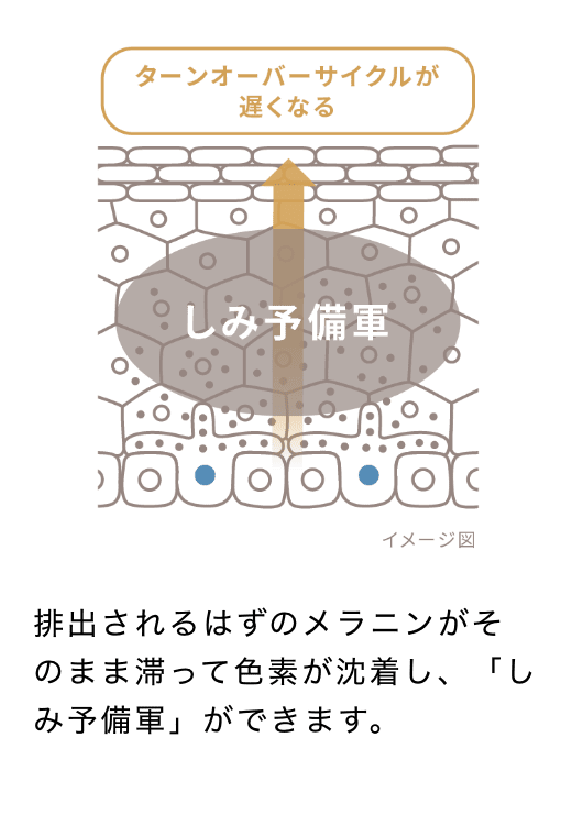 排出されるはずのメラニンがそのまま滞って色素が沈着し、「しみ予備軍」ができます。