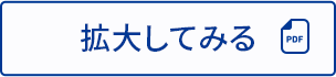 拡大してみる