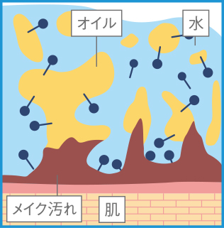 メイクが落ちる仕組み step2