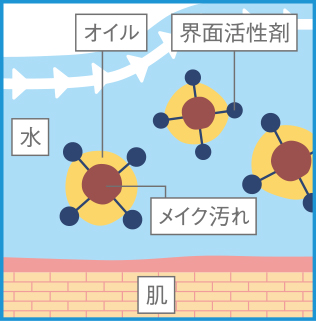 メイクが落ちる仕組み step4