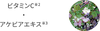 ビタミンC※1・アケビアエキス※2