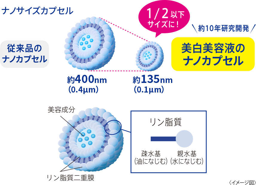 浸貯放ナノカプセルの解説