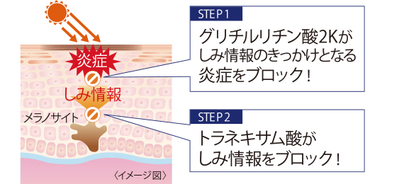 2つの有効成分が紫外線ダメージをブロック