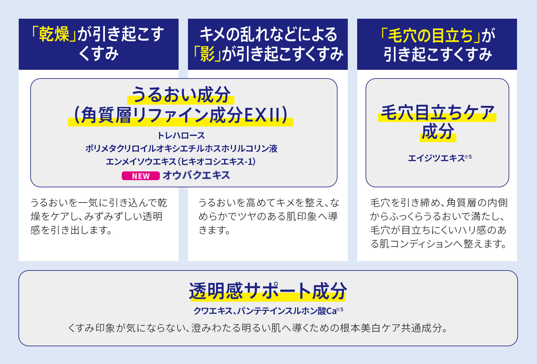「乾燥」が引き起こすくすみ　キメの乱れなどによる「影」が引き起こすくすみ　「毛穴の目立ち」が引き起こすくすみ