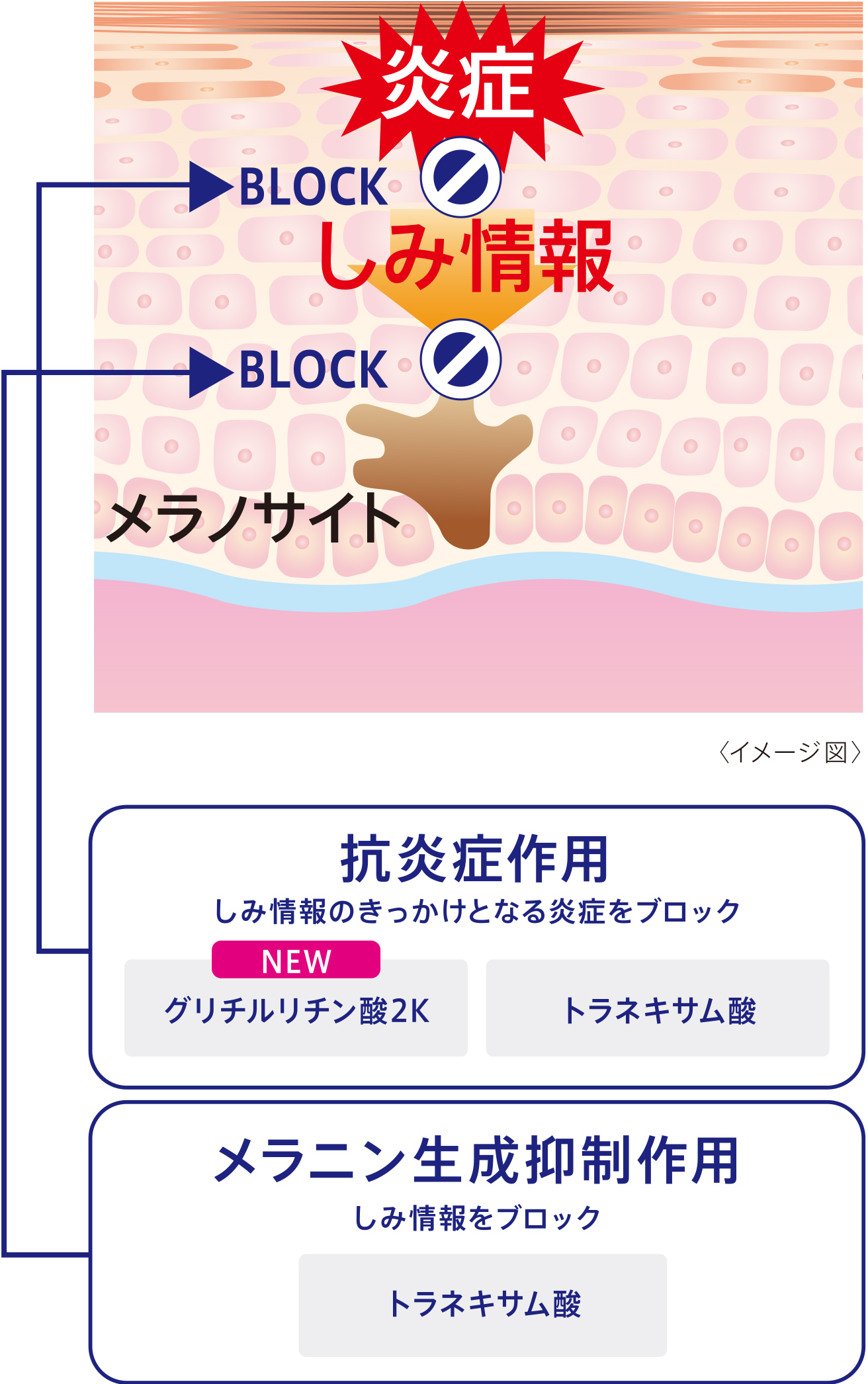 美白化粧水｜トランシーノ薬用スキンケア｜第一三共ヘルスケア